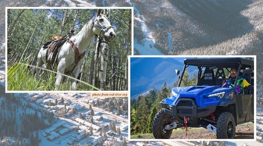 Discover the Wild Side of Red River — Adventure Awaits! 🌲🐴