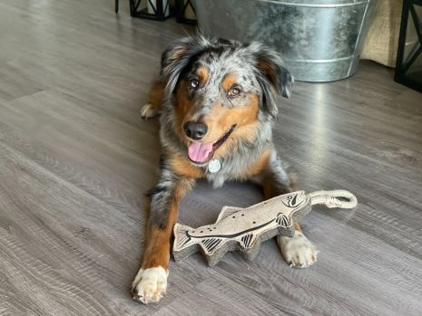 Natural Leather Trout Tug Toy