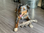 Load image into Gallery viewer, Natural Leather Trout Tug Toy
