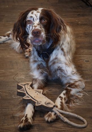 Natural Leather Trout Tug Toy
