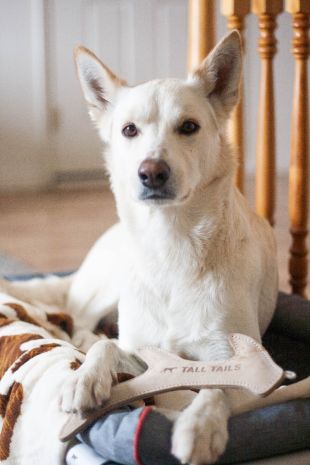 Natural Leather Antler Toy